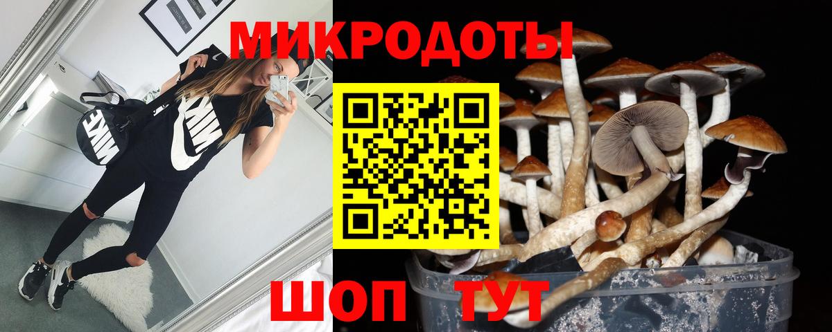 Галлюциногенные грибы мицелий  где найти наркотики  Добрянка  Вход с VPN 